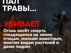 Пал травы
